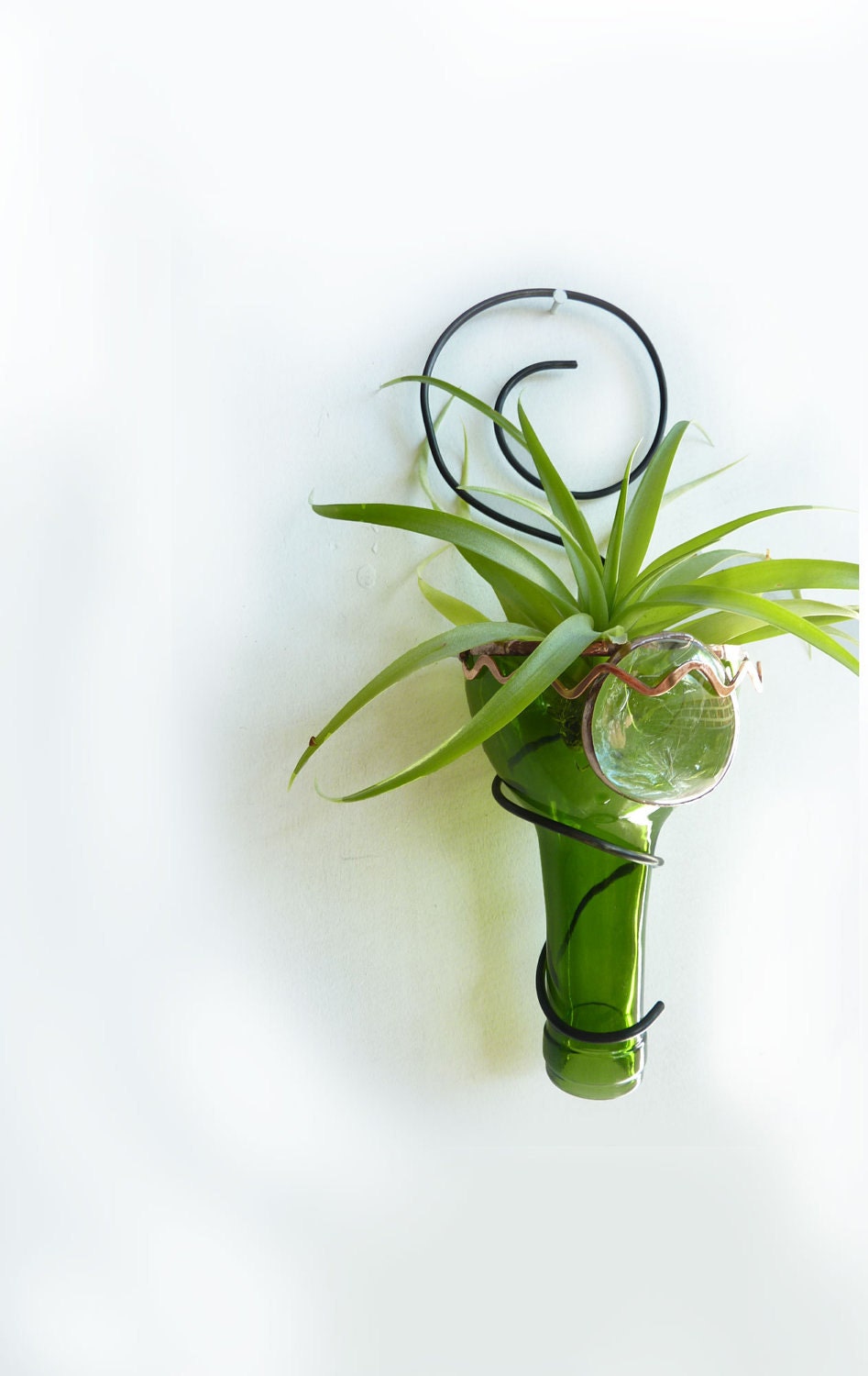 Air plant holder -Recycled bottle sconce - Green with Copper Zig Zag