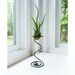 Reserved for Auntjewelry- Wire Air Plant Holder- Small Quirky