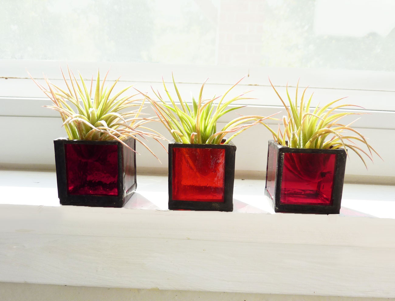 Air plant holder terrarium - Three stained glass cubes - Red Ombre with Tillandsia Air Plant