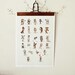 Childrens Wall Art Print -ABC Animals Alphabet  Poster, German