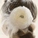 Wedding hair accessory Hair Flower Vintage Wedding dress fascinator Ivory Head Piece, Ivory Wedding hair flower Feather Fascinator