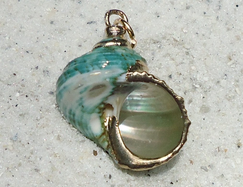 Gold Trim Green Turbo Seashell Pendant