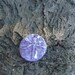 Dragonfly Stoneware Pendant