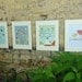 5X7  eco friendly nature themed alphabet wall cards