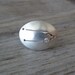 Taurus Constellation Ring in Conflict Free Diamond and Argentium Silver, Made To Order