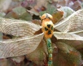 Antique Paper Mache Dragonfly Insect Objet D'art