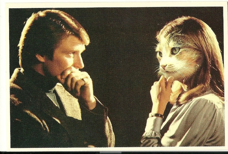 1982 Alfred Gescheidt Cat Postcard, American Cat Card, Kitten, Meow, Male, Female Cats, Couple, Lovers