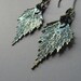Real Leaf Earrings - Oxidized Silver - Birch