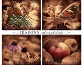 SEASONS 8x10 print COLLECTION all 4 prints for the price of 3