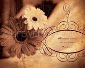Scripture Art, Inspirational Art, Bible Verse Art, Christian Art : FRIEND (Proverbs 17) 8x10 Fine Art Print
