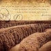 Scripture Art, Inspirational Art, Bible Verse Art, Christian Art : GOOD PLANS Path (Jeremiah 29) 8X10 Fine Art Print Scripture Art Category