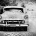 GRANDPA Keepsake and Gift Father's Day 8x10 Fine Art Print Family and Job Category
