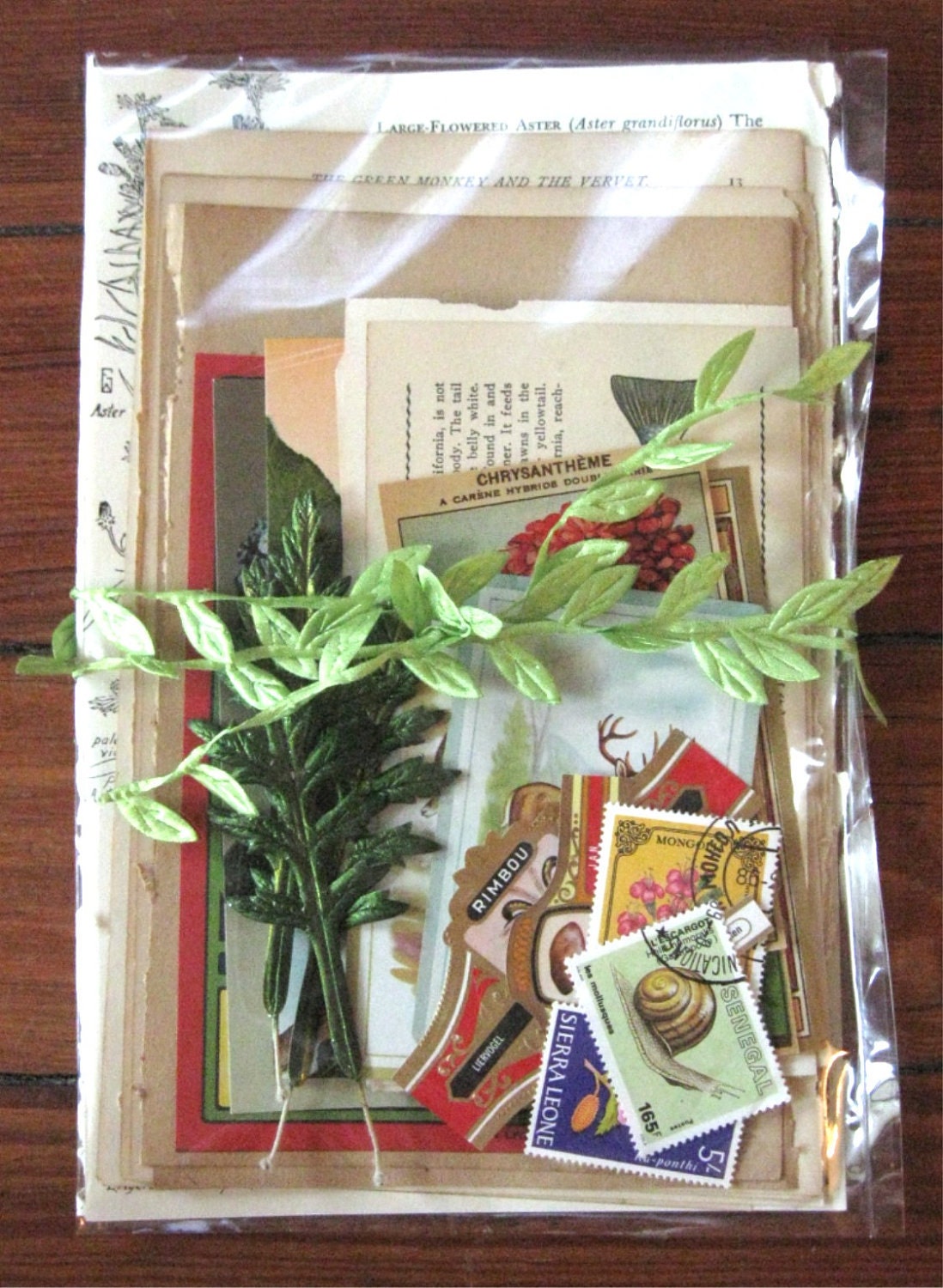 Nature Themed Ephemera Pack All Vintage 32 Pieces Animals Plants Mixed Media Supplies