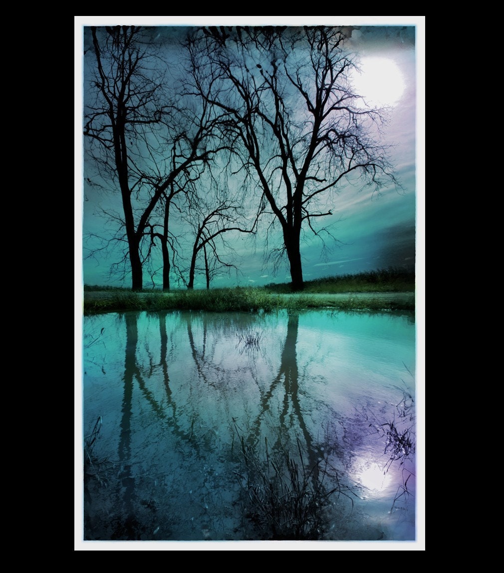 Night sky,11x17, Original Signed Fine art photograph, Limited edition, Nature wall decor, art, blue home decor, trees, reflections