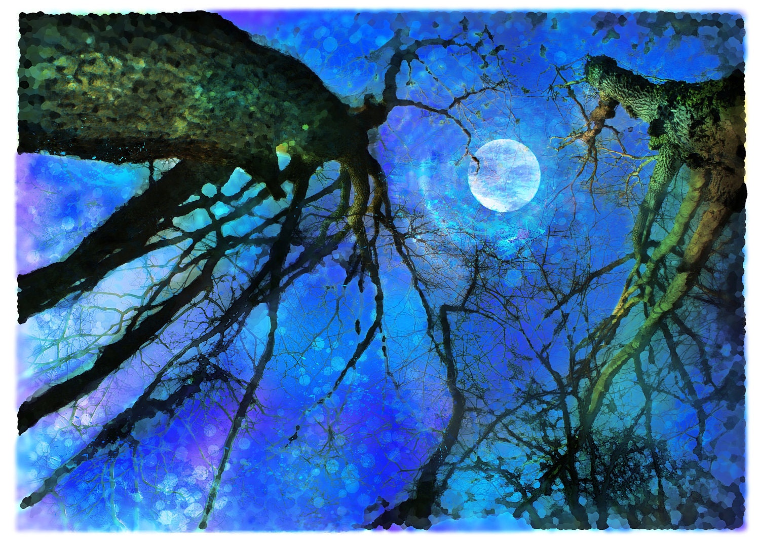 Winter moon, ACEO original, Atc, Fine art photograph, miniature 2.50x3.50, Blue moon, winter trees, gift