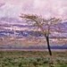 Grand Tetons Wyoming Phototgraphy Springtime Snowing In A Mountains Valley 8 x 10 Surreal Print