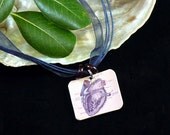 Vintage image anatomically correct heart necklace
