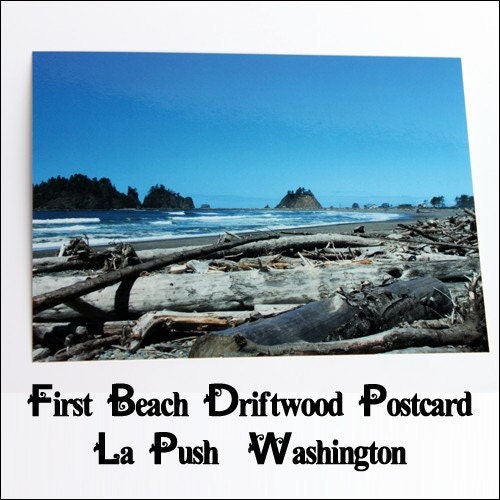 First Beach Driftwood Postcard