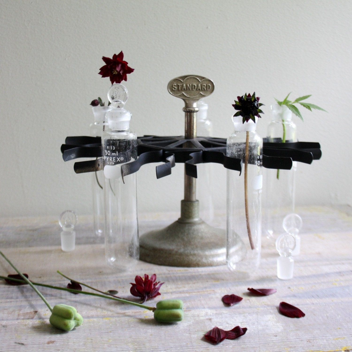III RESERVED IIII Vintage Laboratory Display Stand