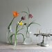 Vintage Test Tube Display