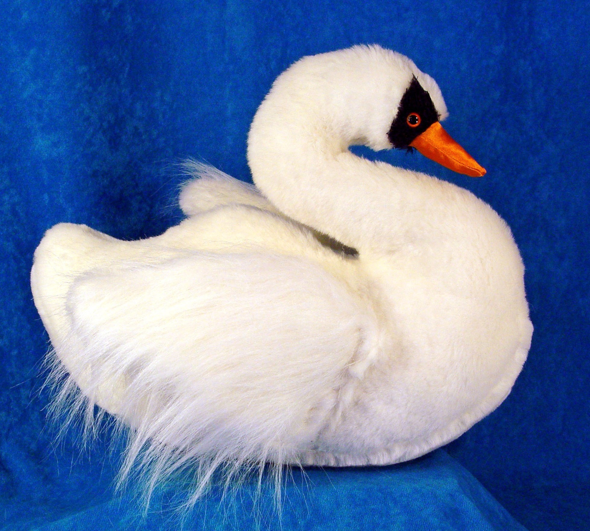small swan