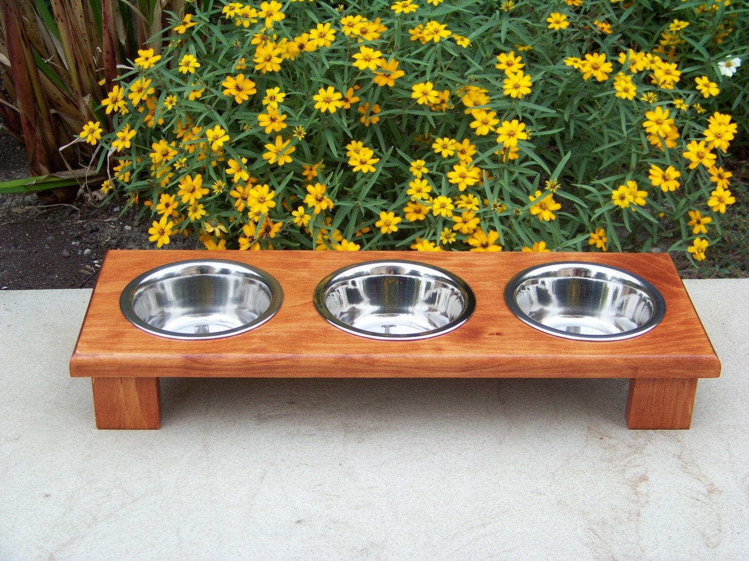 Custom Stained 3-Bowl Elevated Cat Feeder 3" Tall with 1-Pint Bowls