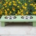 Guacamole Green Elevated Pet Bowl Feeder 3" Tall with 1-Pint Bowls