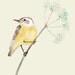 Yellow Bird on Flower botanical Deluxe Edition Print of original illustration