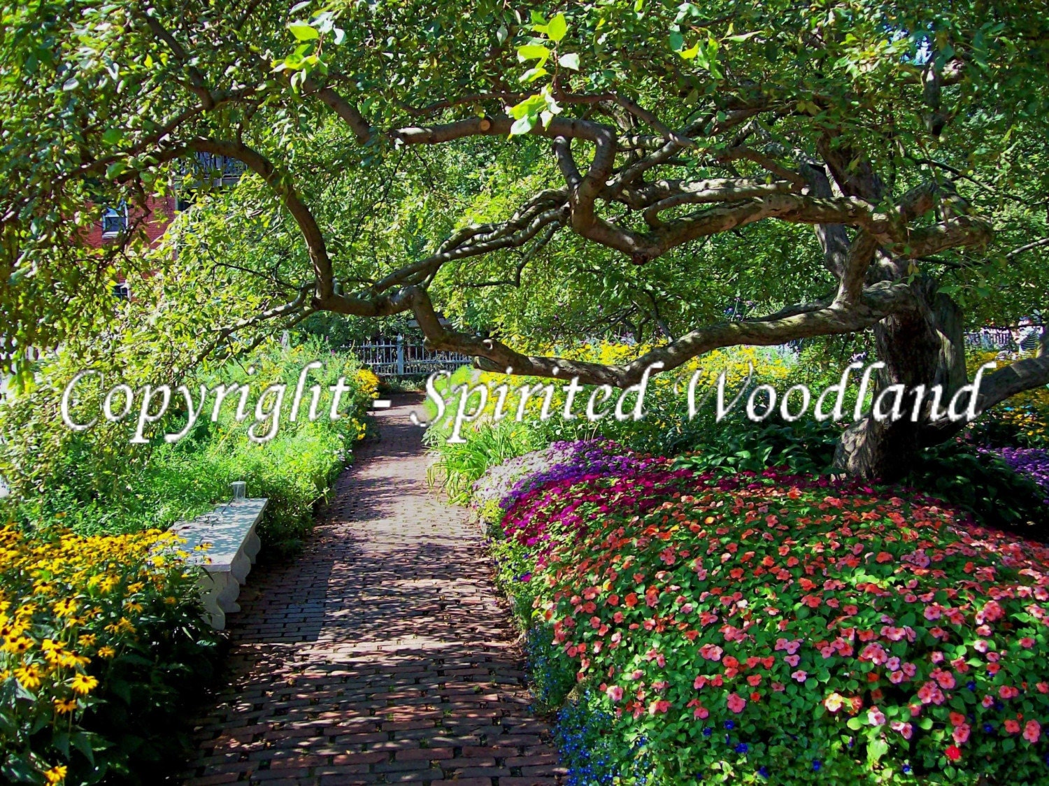 Enchanted Summer Garden 5 X 7 Photographic Print 
