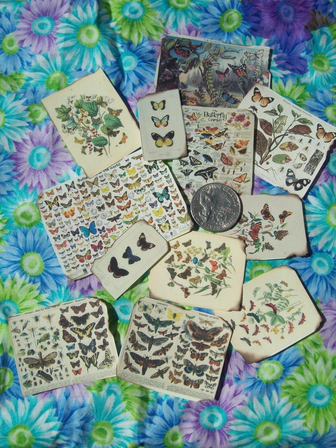 Enchanted Miniatures Butterfly Charts - A Magical Baker's Dozen