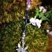 Miniature Wand - Fairy Star - One of a Kind