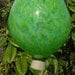 Summer Green Hand Blown Glass Hummingbird Feeder