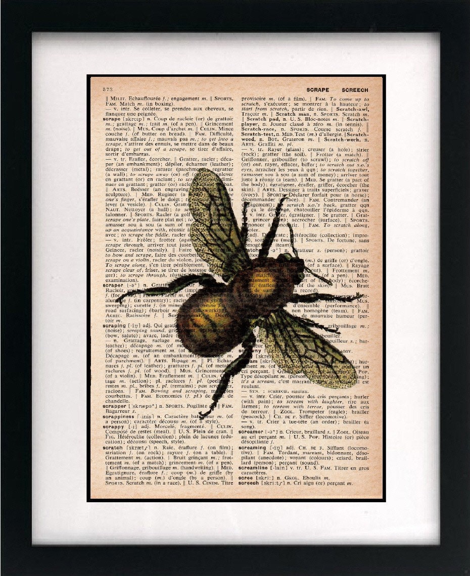 vintage bee illustration print - bee art print - recycled dictionary print - 8x10 art print