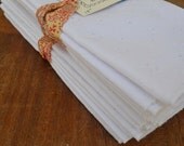 Wedding, Birthday Party, Shower Eco Friendly Cloth Napkins Vintage White Eyelet  by Dot and Army