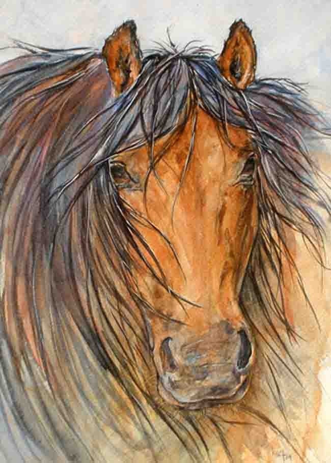 Freedom - a wild stallion - print of my original watercolor