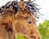 Sleepy horse artwork - print of my original watercolor painting - 5 x 7 - tapestry316