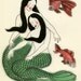 Mermaid art print gift SALE set  - 5 X different mermaid prints - 4 X 6 Prints