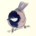 Bird print. Little Bob (4" X 6" print)