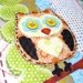 Owl Binder
