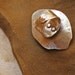 Stacked and Riveted Eye Ring with Vintage Coins, Bronze, Fine Silver
