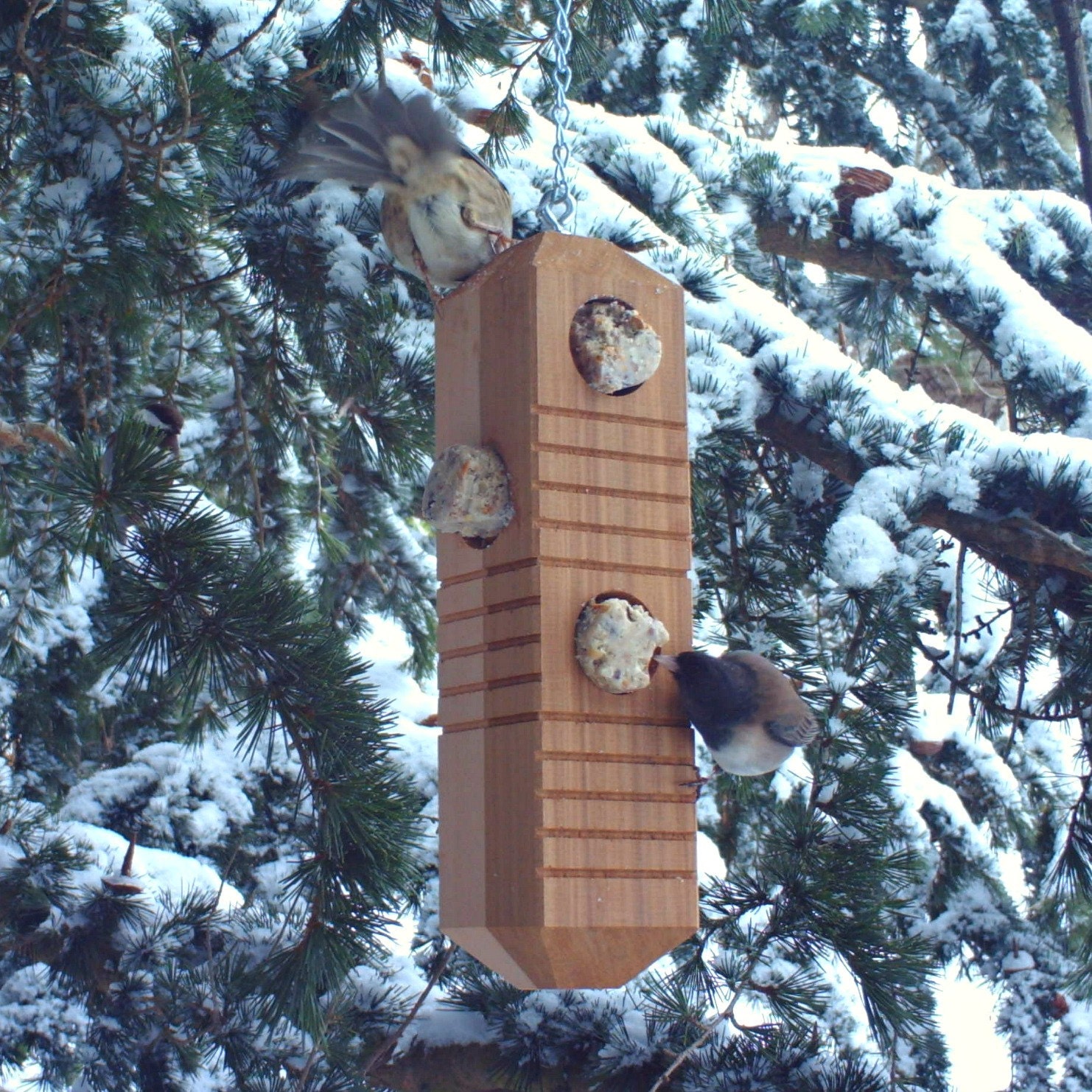 Woodpecker Bird Feeder From Recycled Wood with by andrewsreclaimed