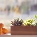 Herb Planter or Succulent Planter, Modern Style from Reclaimed Wood