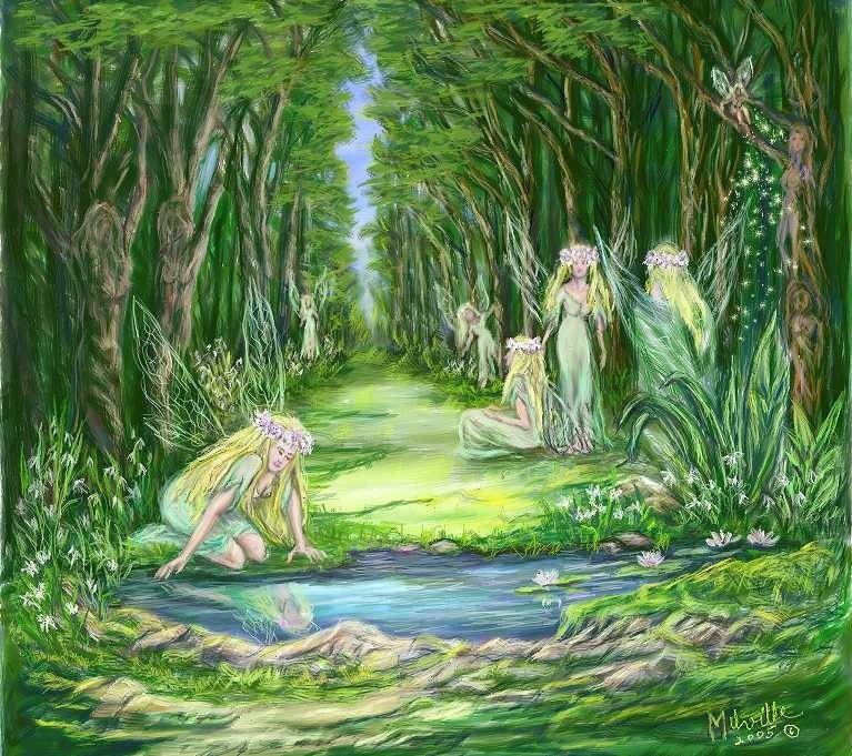 fairy grove