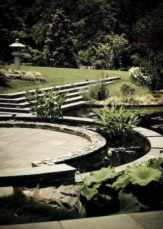 Serene Garden- beautiful lanscape of part of Duke Gardens in North Carolina, size 5x7" (13x18cm)