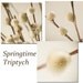 Springtime Triptych - close up images of willow catkin in soft ivory tones, perfect spring home art