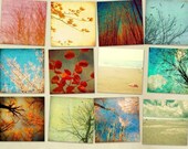 SALE - Home decor,  nature photos, set of prints, art collection, trees, leaves, forest, woodland,   autumn : Looking Up 12 5x5 prints