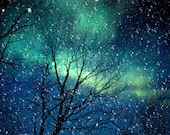 Nature photography winter photography northern lights snow photo blue green starry night falling night zodiac astrology - Aurora 8x10 - bomobob