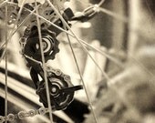 Bicycle photo Le Tour de France for a biker bikes cycling black and white cassette gears chain grunge wheels spokes - Spokeh 8x10