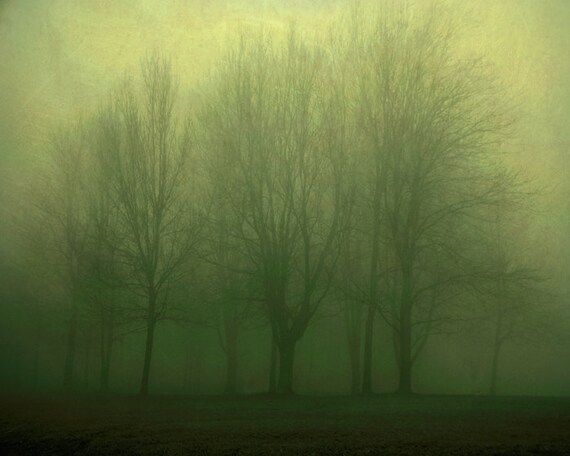 30% OFF Landscape photography, green trees, emerald green, wall decor enchanted forest bare trees avocado green fall Early 8x10