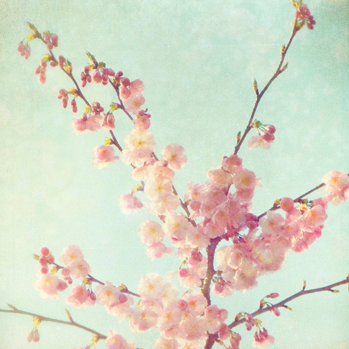 Spring flowers girl's room decor,  spring photography feminine, dusty rose, honeysuckle, powder blue, nursery decor - In The Pink 8x8
